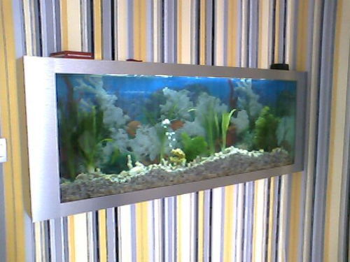 壁畫式生態(tài)魚(yú)缸006 ,重慶市藍(lán)海鷗生態(tài)魚(yú)缸廠